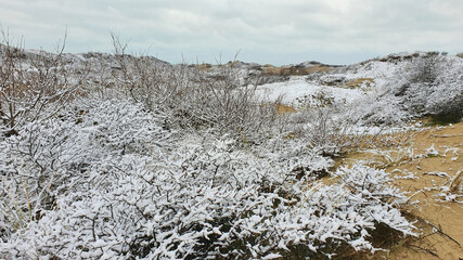 dune sous la neige de la cote d'opale du nord de la France 
