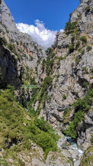 The Los Rebecos (chamois) bridge at the Cares Route in the heart of Picos de Europa National Park, Cain-Poncebos, Asturias, Spain. This walkway comes from reservoir of Doiras.