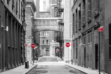 Red signs in a black and white cityscape at the intersection of Jay and Staple Streets in the...