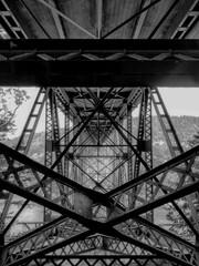 Fototapeta premium Underground world