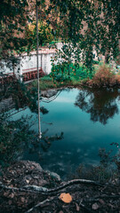 bungee jump over the lake