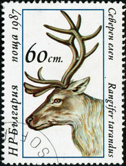 BULGARIA - CIRCA 1987: A stamp printed in Bulgaria shows Sika Deer - Cervus nippon
