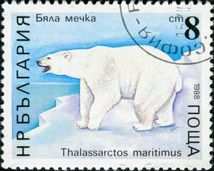 BULGARIA - CIRCA 1988: A stamp printed in the Bulgaria, shows a polar bear