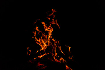 fogata, fuego una noche de campamento.