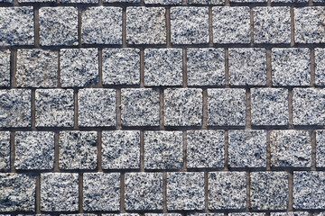Gray, granite, square paving stones. Natural chipped stone.