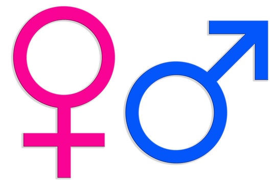 gender symbol pink and blue icon, male and female symbols isolated on white, basis for designer