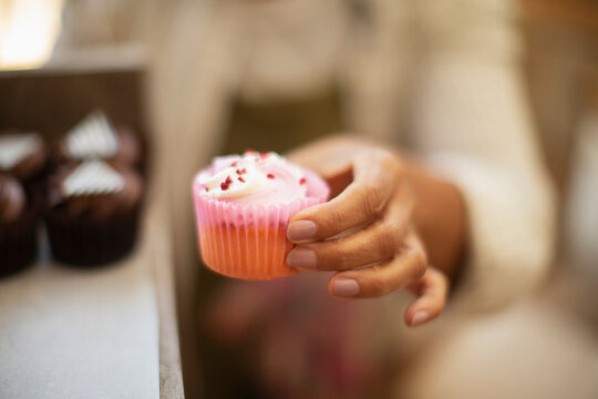 Close up female baker holding cupcake in pink liner