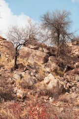 A rocky outcrop which is a common feature near the Afsaal picnic site in the Kruger national park, South Africa.