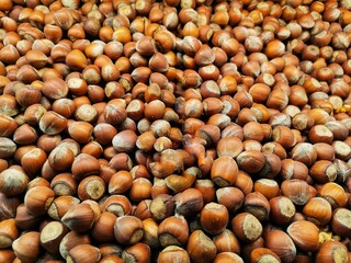 Close-up shelled hazelnuts. Background shelled hazelnuts and detail shots.