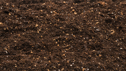 Black land for plant background.