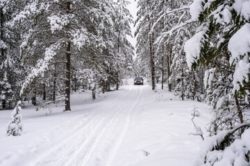 A passenger car on a snow-covered forest road on a frosty day.