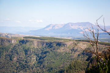 The view from the top of the escarpment at Gods window near Graskop, South Africa.