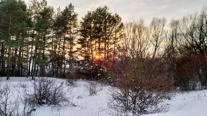 Foto auf Leinwand Winter sunset behind pine forest © Александр Гичко