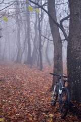 Fototapeta na wymiar Arges Romania - 09 19 2019: cycling through the forest in the cold and foggy autumn season with Bullet HT mountain bike