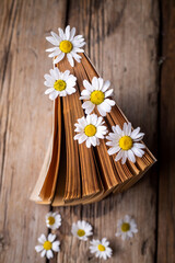 Old books with flowers white field daisies