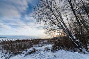 Winter evening on the lake shore