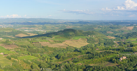 Naklejka premium Typical landscape with rolling hills and vineyards around San Gimignano town, Tuscany, Italy