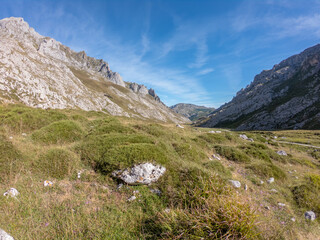 The Monetas valley near Escamellau Peak in Sotres, Picos de Europa, Asturias, Spain.