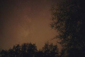 winter night sky with milky way galaxy shining trough stars and planets in the forest