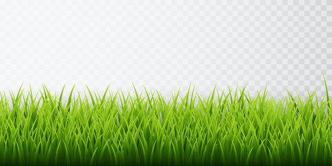 Green grass border set on transparent background. Vector Illustration