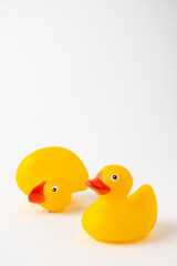 Top view of two yellow bathing ducklings, one lying down, selective focus, on white background, vertical, with copy space