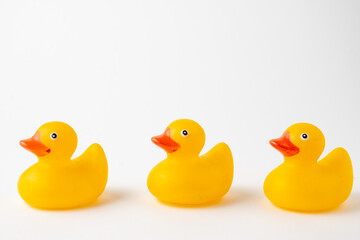 Close-up of three yellow ducklings for bathing, selective focus, on white background, horizontal, with copy space