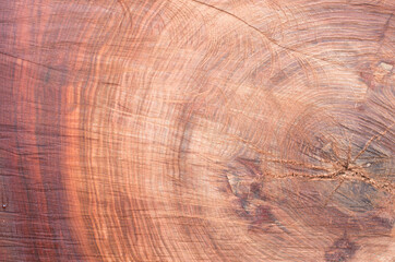 Red cut log with cracks close