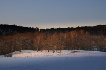 Field and woodland winter scene with warm yellow lights.Shot in Sweden, Scandinavia