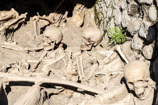 Skulls, skeletons and bones in Herculaneum, Italy