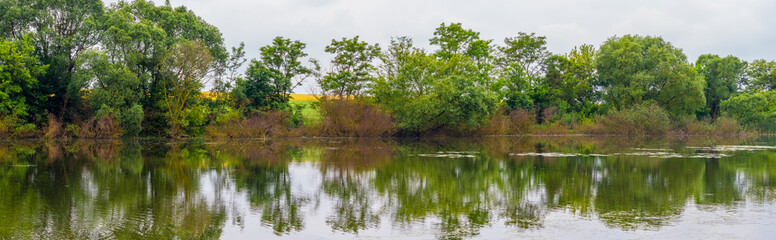 Summer panorama with trees reflected in the river