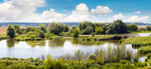 Summer landscape with river, lush vegetation on the banks and blue sky with white curly clouds