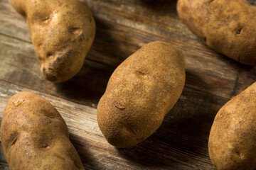 Raw Borwn Organic Russet Potatoes