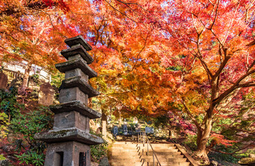鎌倉　建長寺半僧坊の紅葉　日本