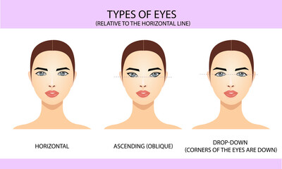 Types of eyes relative to the horizontal line, vector illustration, information for eyelash extension, infographics, wind illustrations