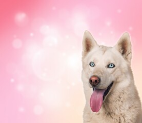 Dog.