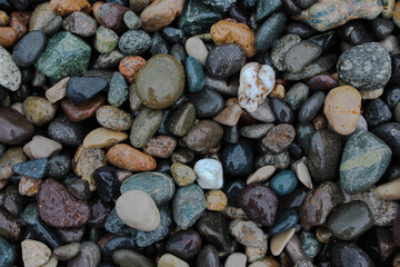 Beach wet stones background