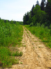 Fototapeta na wymiar summer dusty country road through the forest