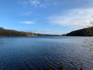 lake and forest