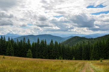 Beautiful view to Carpathian Mountains covered by green pine forests under cloudy sky, Ukraine