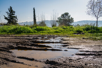 A Muddy Road on a Sunny Day