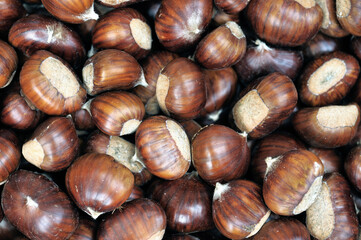 Group of chestnuts