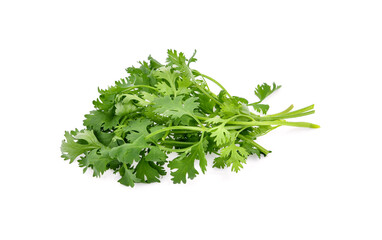 Coriander isolated on white background