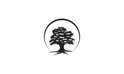 oak tree logo designs inspirations vector stock