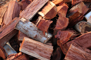 Eucalyptus firewood logs in a firewood stack