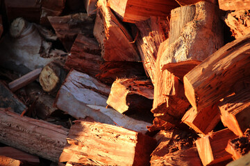Obraz na płótnie Canvas Eucalyptus firewood logs in a firewood stack