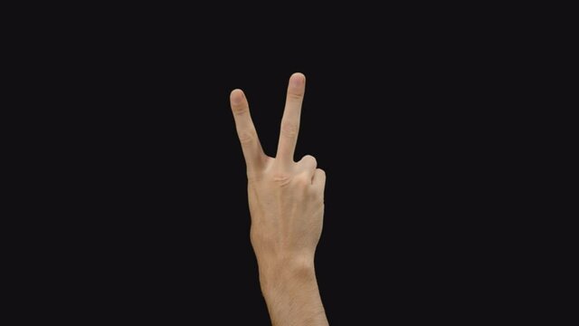 Set of 10 different pre keyed chroma key transparent finger counting gestures on greenscreen shot in 4k uhd