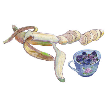 recommend clip art: Cup of Black currant berries. Hand drawn illustration isolated on white background. Object for logo, print on T-sirt, shopper bag, postcard, web projects.