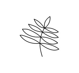 Spring Leaf Outline Vector line Icon. Doodle Spring Concept Minimal Style Illustration for kids book design or web. Element of tree logo