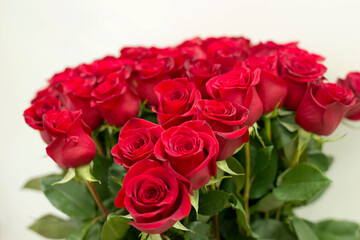 Bouquet Of Red Roses Isolated on a Gray Background. Valentine's Day. Gift for the Woman You Love.