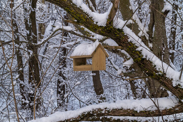 A bird feeder in a winter snow-covered forest.